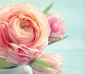 our-blog-8